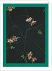 French Fabrics; First Half of the Nineteenth Century by Anonymous