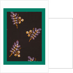 French Fabrics; First Half of the Nineteenth Century by Anonymous