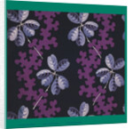 French Fabrics; First Half of the Nineteenth Century by Anonymous