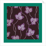 French Fabrics; First Half of the Nineteenth Century by Anonymous