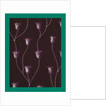 French Fabrics; First Half of the Nineteenth Century by Anonymous