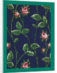 French Fabrics; First Half of the Nineteenth Century by Anonymous