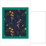 French Fabrics; First Half of the Nineteenth Century by Anonymous