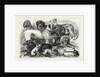 Prize Winners at the Alexandra Palace Dog Show, 1876, London by Anonymous