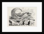 Fatal Balloon Accident in France by Anonymous