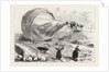 Fatal Balloon Accident in France by Anonymous