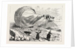Fatal Balloon Accident in France by Anonymous