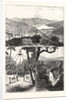 The Prince of Wales at Ceylon, 1876, Sri Lanka by Anonymous