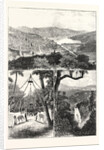 The Prince of Wales at Ceylon, 1876, Sri Lanka by Anonymous