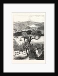 The Prince of Wales at Ceylon, 1876, Sri Lanka by Anonymous
