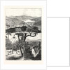 The Prince of Wales at Ceylon, 1876, Sri Lanka by Anonymous