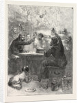 Christmas with the Arctic Expedition, 1876, to the Dear Ones at Home by Anonymous