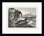 Sport in India, Hunting Antelopes with the Cheetah. Antelope, Animal, Big Cat, Wild Cat by Anonymous