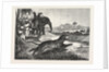 Sport in India, Hunting Antelopes with the Cheetah. Antelope, Animal, Big Cat, Wild Cat by Anonymous