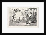 The Pantomimes, Jack in Wonderland at the Crystal Palace, London, Theatre by Anonymous