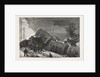 The Double Collision on the Great Northern Railway, Near Huntingdon: Scene after the Final Catastrophe by Anonymous