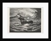 Nearing Home, Boat, Vessel, Maritime, Sea by Anonymous