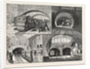 New Route to Brighton, Via the East London Railway, Sketches Between Whitechapel and New Cross, London by Anonymous