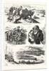 Fatal Boat Accident on the Dee, at Aberdeen, Incidents of the Disaster by Anonymous