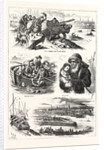 Fatal Boat Accident on the Dee, at Aberdeen, Incidents of the Disaster by Anonymous