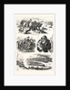 Fatal Boat Accident on the Dee, at Aberdeen, Incidents of the Disaster by Anonymous