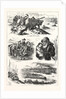Fatal Boat Accident on the Dee, at Aberdeen, Incidents of the Disaster by Anonymous