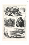 Fatal Boat Accident on the Dee, at Aberdeen, Incidents of the Disaster by Anonymous