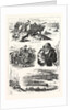 Fatal Boat Accident on the Dee, at Aberdeen, Incidents of the Disaster by Anonymous