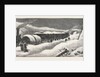 The Accident, an Incident on the Great Northern Railway, Between Grantham and Peterborough by Anonymous