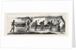 Lieutenant Cameron in Central Africa, Karimbu (Chief Near Kwakasongo) and His Train by Anonymous