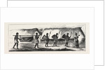 Lieutenant Cameron in Central Africa, Karimbu (Chief Near Kwakasongo) and His Train by Anonymous
