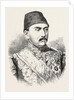 The New Sultan Mehemed Mourad V., Proclaimed on the 30th May Upon the Forced Abdication of Abdul-Aziz by Anonymous