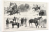 Alexandra Palace Horse Show by Anonymous