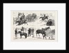 Alexandra Palace Horse Show by Anonymous