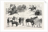 Alexandra Palace Horse Show by Anonymous