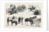 Alexandra Palace Horse Show by Anonymous