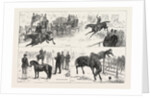 Alexandra Palace Horse Show by Anonymous