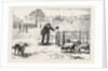 The Collie Dog Trials at the Alexandra Palace, Penning the Sheep by Anonymous