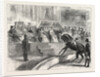 The Prince and Princess of Wales to the Crystal Palace the Royal Party Witnessing the Performance of Myer's Circus by Anonymous