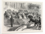 The Prince and Princess of Wales to the Crystal Palace the Royal Party Witnessing the Performance of Myer's Circus by Anonymous