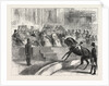 The Prince and Princess of Wales to the Crystal Palace the Royal Party Witnessing the Performance of Myer's Circus by Anonymous