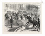 The Prince and Princess of Wales to the Crystal Palace the Royal Party Witnessing the Performance of Myer's Circus by Anonymous