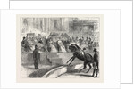 The Prince and Princess of Wales to the Crystal Palace the Royal Party Witnessing the Performance of Myer's Circus by Anonymous