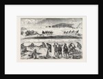 Salmon Fishing by Anonymous