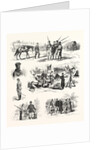 The Turco Servian War: Cavalry and Infantry of the Reserve Officers, the Camp Adieu Soldiers Dancing by Anonymous