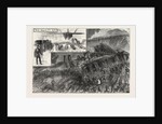 The Fatal Railway Accident: Railway Near Radstock by Anonymous