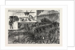 The Fatal Railway Accident: Railway Near Radstock by Anonymous