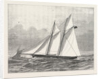 The Prince of Wales's Yacht, Hildedegarde by Anonymous