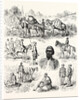 War in the East, Types of Turkish Soldiery by Anonymous