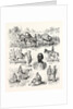 War in the East, Types of Turkish Soldiery by Anonymous
